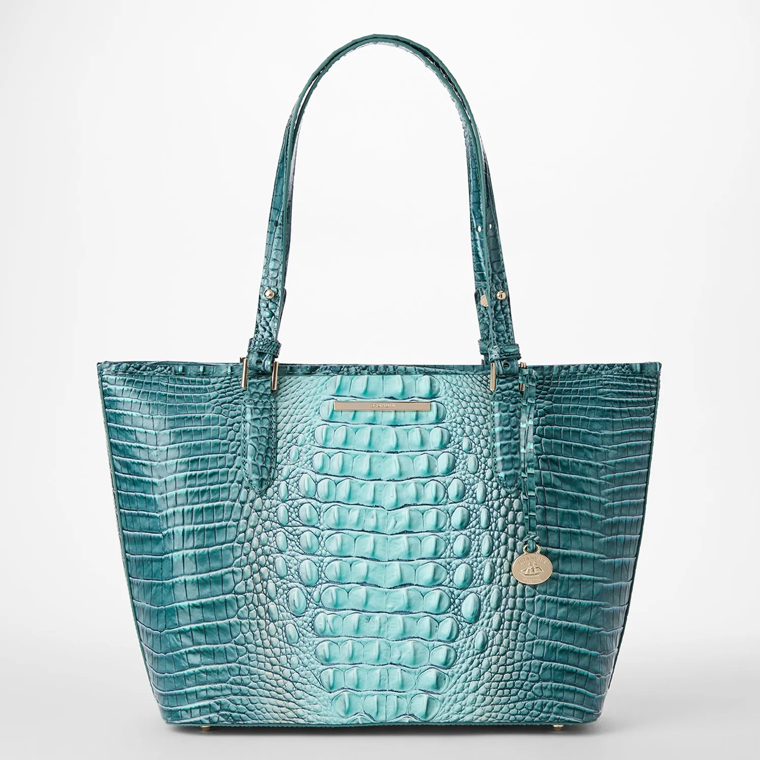 Medium Asher Tote Spearmint Ombre Melbourne